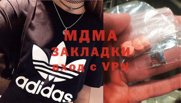 шишки Белоозёрский