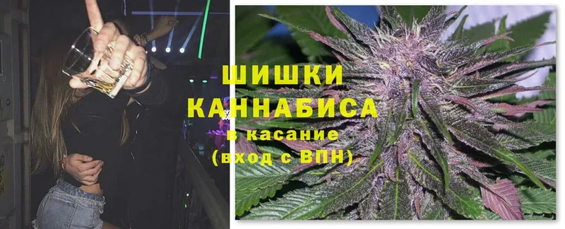 Марихуана OG Kush  цены   Грязовец 